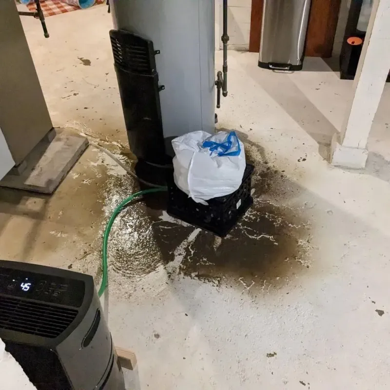 Sewage Backup Cleanup Service in Washburn, ND